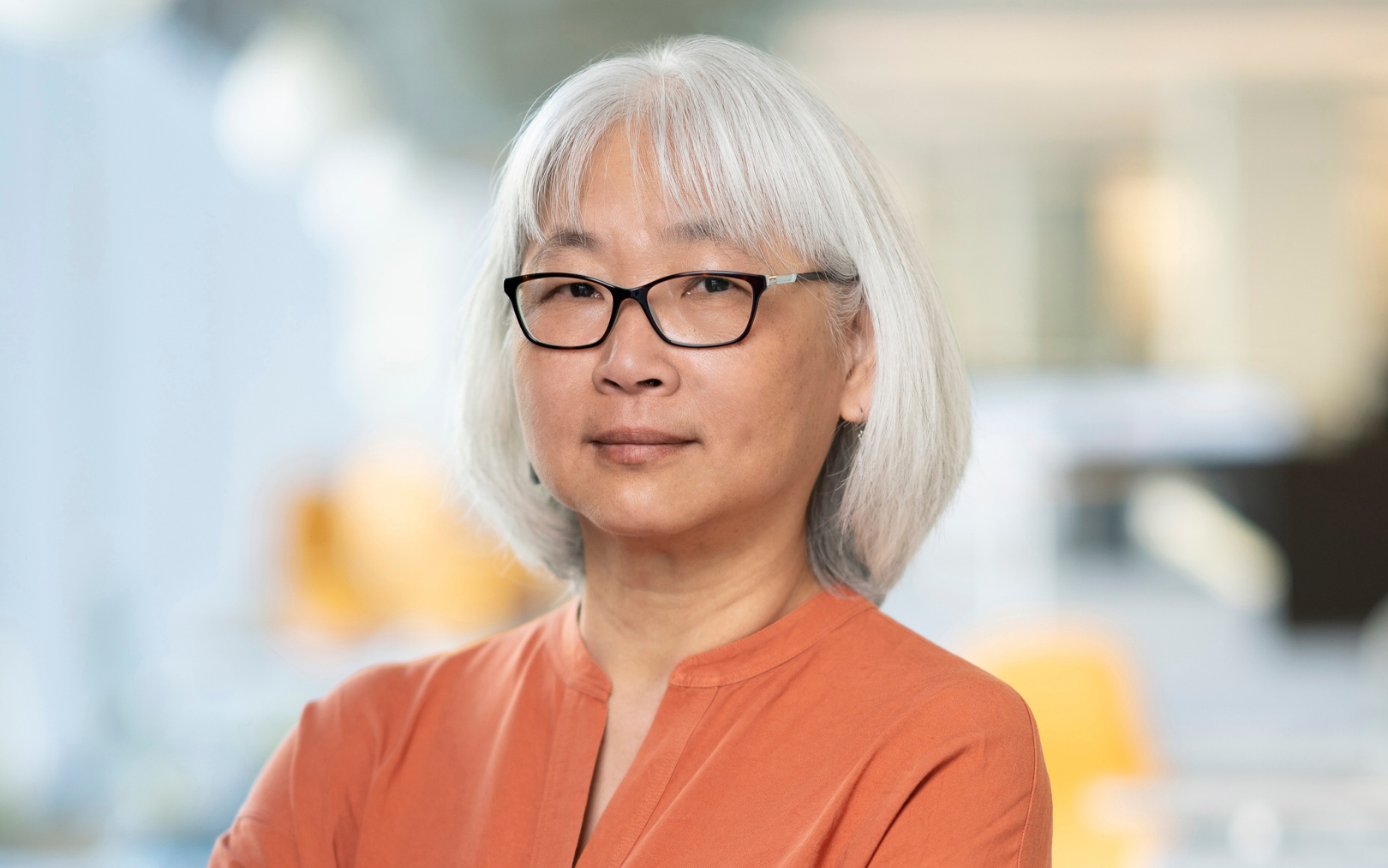 Su Sie Lim, Washington DC, Senior Principal, Architect, Architecture