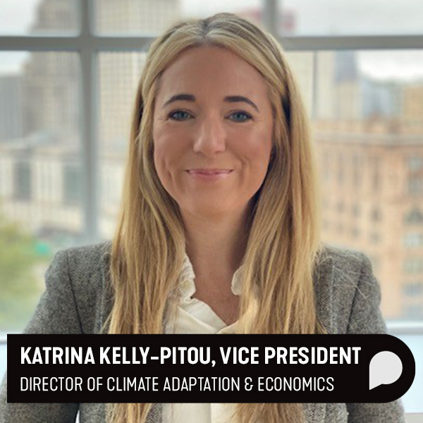 Katrina Kelly Pitou DD6 Author Title Card