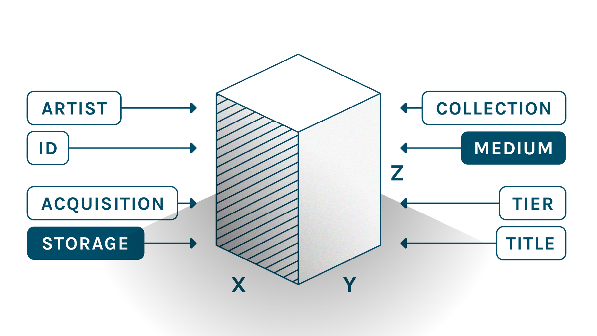 Designing Collections Through Computational Workflows