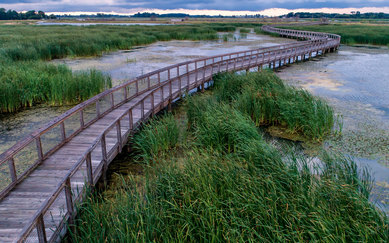 Howard Marsh MetroPark Bridge Platform Bridge SmithGroup Ohio