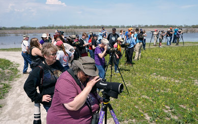 Howard Marsh Bird Watchers Ohio