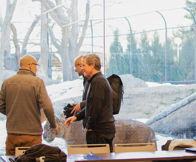 Photograph of a gathering of ecological experts at the Lincoln Park Zoo, with a lion looking in from the conference room window